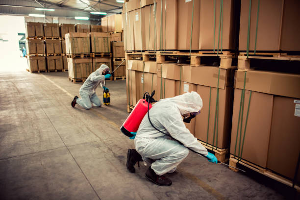 Best Flea Control Services  in Doniphan, MO