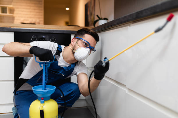 Best Emergency Pest Control  in Doniphan, MO