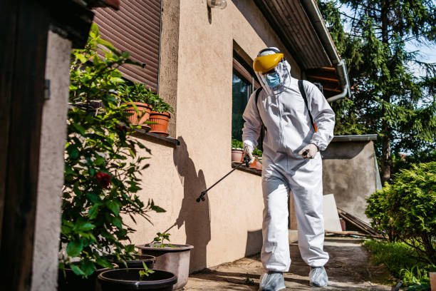 Best Local Pest Control Services  in Doniphan, MO