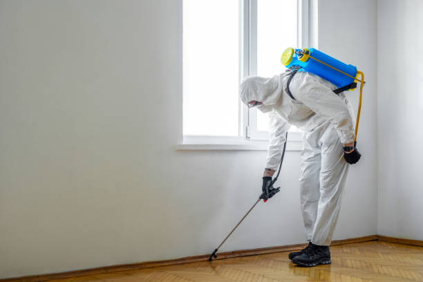Best Pest Control for Restaurants  in Doniphan, MO
