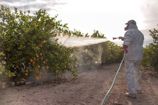 Doniphan, MO Pest Control Company