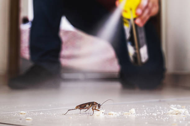 Best Pest Prevention Services  in Doniphan, MO